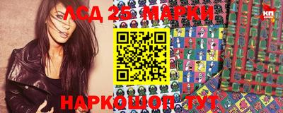 молекула духа Будённовск