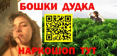 молекула духа Будённовск