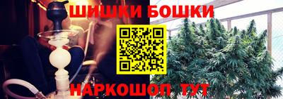молекула духа Будённовск