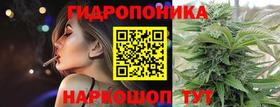 молекула духа Будённовск