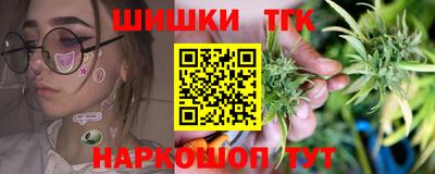 молекула духа Будённовск