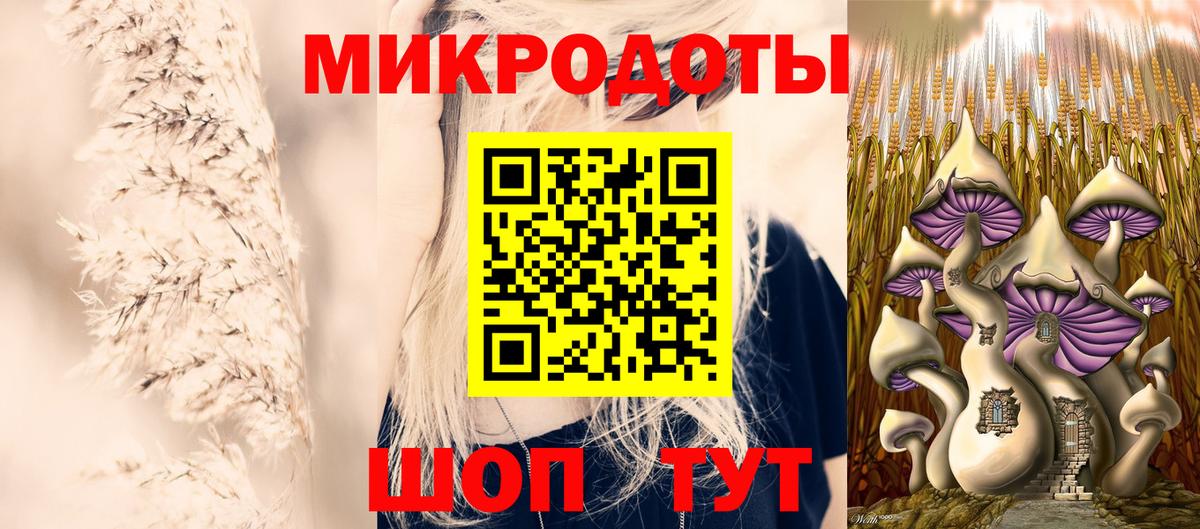 Псилоцибиновые грибы Psilocybe Углич